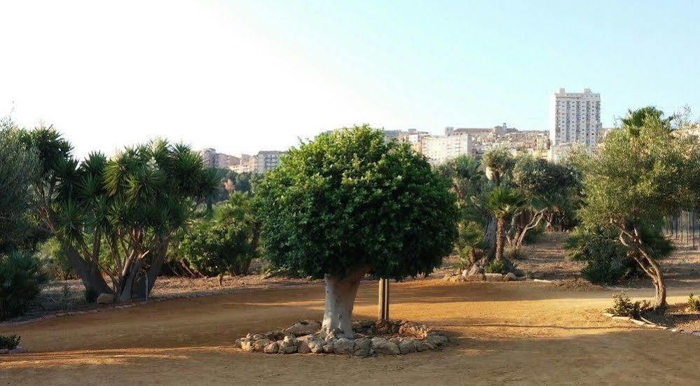 Lekythos 2* Agrigento
